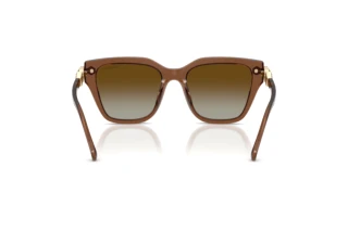 Vista posterior Swarovski SK6041 (1067T5)