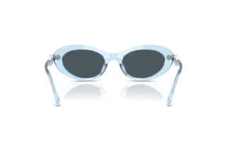 Vista posterior Swarovski SK6042 (107887)