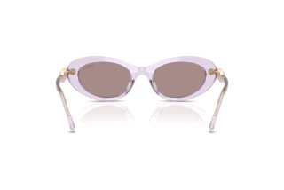 [glasses-back-view] Swarovski SK6042 (1079LA)