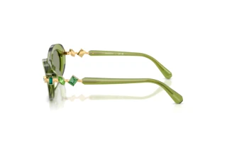 [glasses-side-view] Swarovski SK6042 (3002/2)