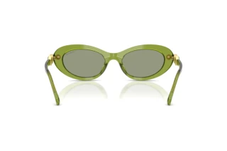 [glasses-back-view] Swarovski SK6042 (3002/2)