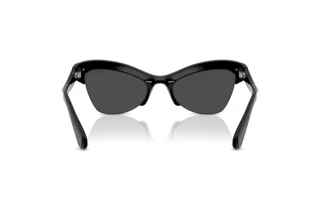 Vista posterior Swarovski SK6043 (100187)