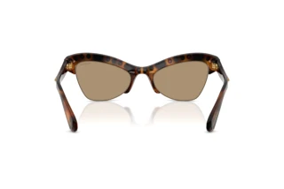 Vista posterior Swarovski SK6043 (100271)