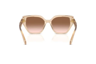 Vedere din spate Swarovski SK6044U (103413)