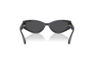 Vedere din spate Swarovski SK6045U (10836G)