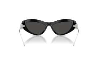 Vedere din spate Swarovski SK6046 (100187)