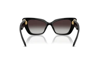 [glasses-back-view] Swarovski SK6047 (10018G)