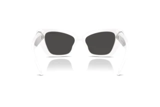 Vedere din spate Swarovski SK6047 (105087)