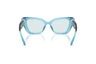 [glasses-back-view] Swarovski SK6047 (107872)