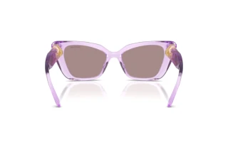 Vedere din spate Swarovski SK6047 (1079LA)