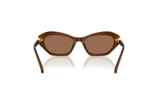 Vedere din spate Swarovski SK6048 (108473)