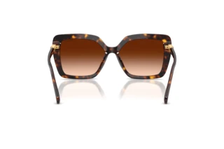 [glasses-back-view] Swarovski SK6049 (100274)