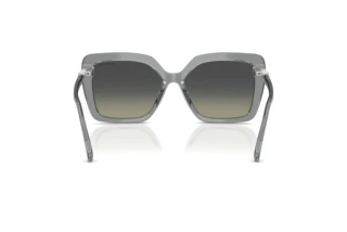 Vedere din spate Swarovski SK6049 (106211)