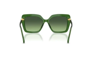 Vedere din spate Swarovski SK6049 (10812A)