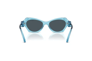 Vedere din spate Swarovski SK6050 (107887)