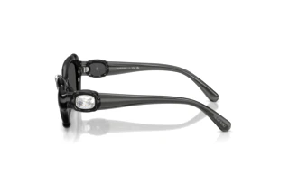 Vedere laterală Swarovski SK6050 (108787)