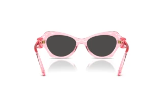 Vedere din spate Swarovski SK6050 (108887)