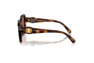 Vedere laterală Swarovski SK6051U (100273)