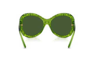 Vedere din spate Swarovski SK6052 (108971)