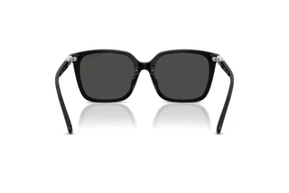 Vedere din spate Swarovski SK6053D (103887)