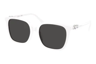 Vedere din față Swarovski SK6053D (105087)