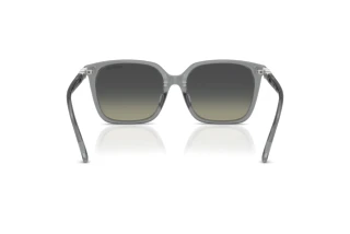 Vedere din spate Swarovski SK6053D (106211)