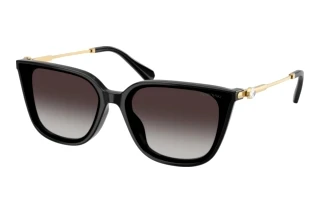 Vedere din față Swarovski SK6054D (10018G)