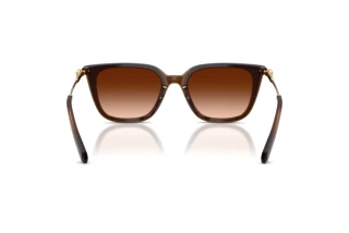 Vedere din spate Swarovski SK6054D (108474)