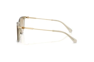 Vedere laterală Swarovski SK6054D (300311)