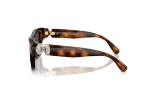 [glasses-side-view] Swarovski SK6056U (100287)