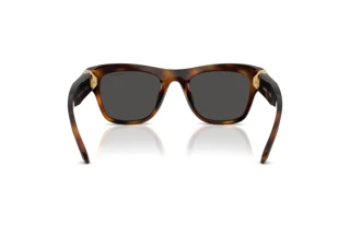 [glasses-back-view] Swarovski SK6056U (100287)