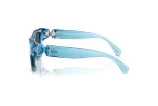 [glasses-side-view] Swarovski SK6056U (107887)