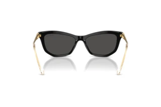 [glasses-back-view] Swarovski SK6057 (100187)