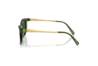 [glasses-side-view] Swarovski SK6057 (108571)