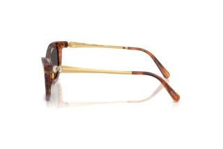 [glasses-side-view] Swarovski SK6057 (109187)