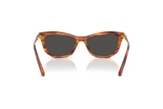 [glasses-back-view] Swarovski SK6057 (109187)