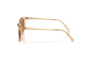 [glasses-side-view] Swarovski SK6057 (109273)