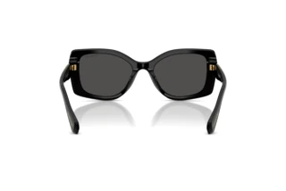 [glasses-back-view] Swarovski SK6058U (100187)