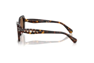 [glasses-side-view] Swarovski SK6058U (100273)