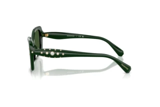 [glasses-side-view] Swarovski SK6058U (102671)