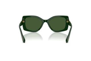 [glasses-back-view] Swarovski SK6058U (102671)