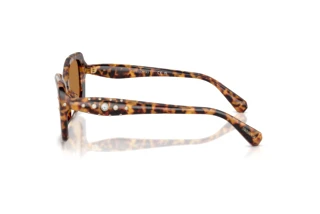 [glasses-side-view] Swarovski SK6058U (104073)
