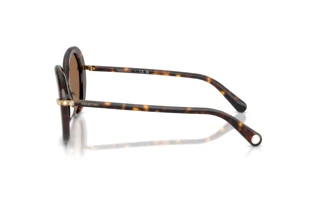 [glasses-side-view] Swarovski SK6059 (100273)