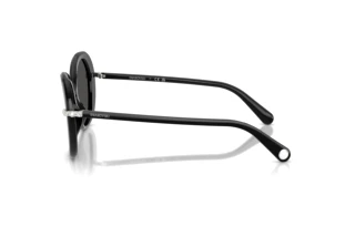 [glasses-side-view] Swarovski SK6059 (103887)