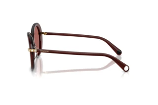 [glasses-side-view] Swarovski SK6059 (109869)