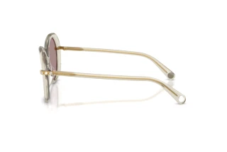 [glasses-side-view] Swarovski SK6059 (3003LA)