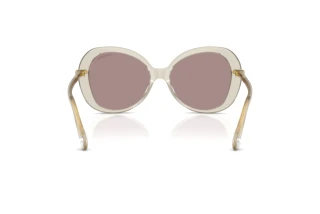 [glasses-back-view] Swarovski SK6059 (3003LA)