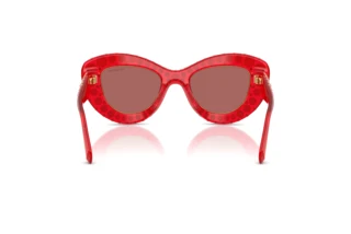 [glasses-back-view] Swarovski SK6060 (110369)