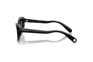 [glasses-side-view] Swarovski SK6061U (100187)