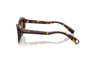 [glasses-side-view] Swarovski SK6061U (100273)